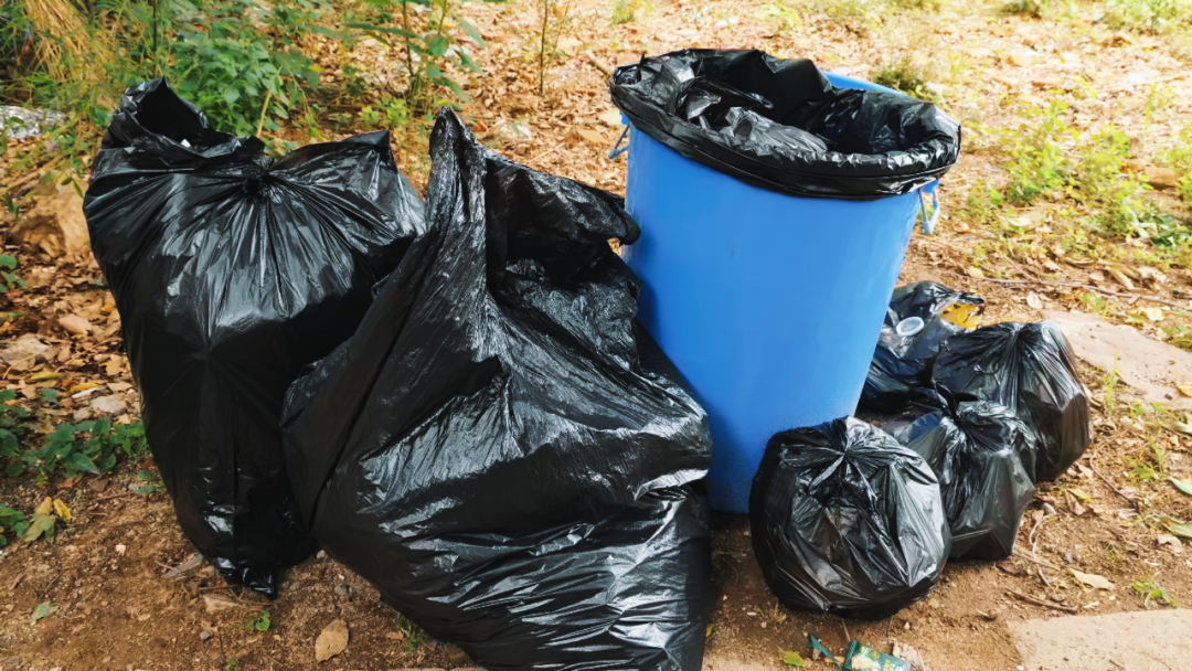 世界环境日 | 江苏PA直营开展2025公益净山活动